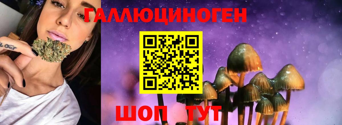 Галлюциногенные грибы Cubensis Саранск